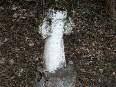 Усадьба Щербатского в Лютке